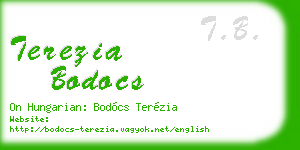 terezia bodocs business card